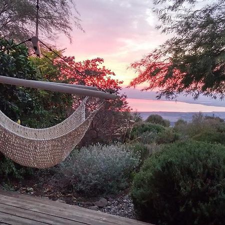 Green Island Ma'ale Gamla Ngoại thất bức ảnh