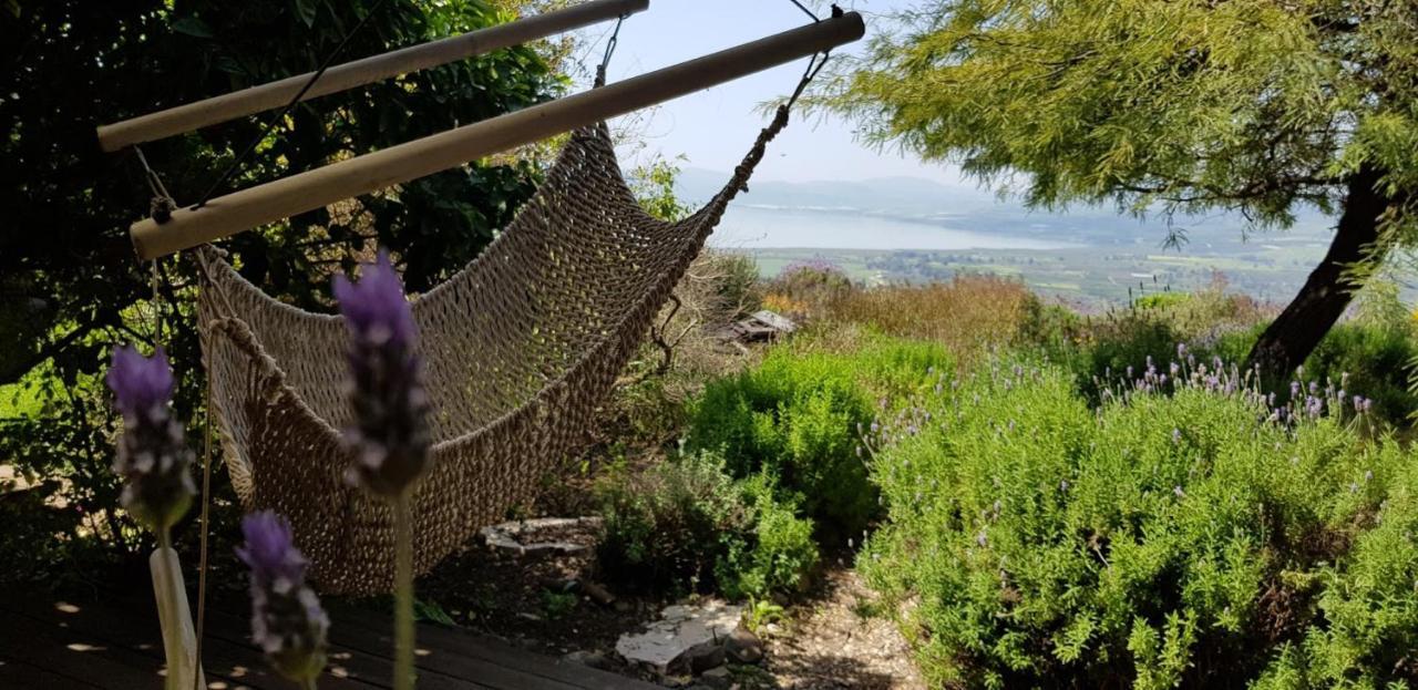 Green Island Ma'ale Gamla Ngoại thất bức ảnh